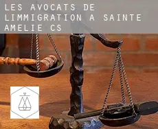 Les avocats de l'immigration à  Sainte-Amélie (census area)