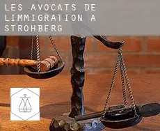 Les avocats de l'immigration à  Strohberg