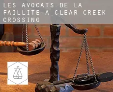Les avocats de la faillite à Clear Creek Crossing