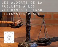 Les avocats de la faillite à  Los Veteranos I