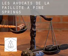 Les avocats de la faillite à  Pine Springs
