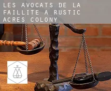 Les avocats de la faillite à  Rustic Acres Colony