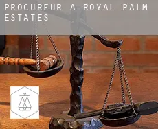 Procureur à  Royal Palm Estates