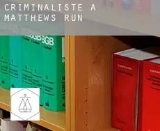 Criminaliste à Matthews Run