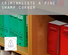 Criminaliste à  Pine Swamp Corner