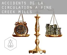 Accidents de la circulation à Fine Creek Mills