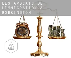 Les avocats de l'immigration à Bobbington