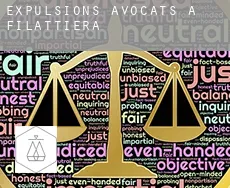 Expulsions avocats à  Filattiera