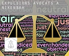Expulsions avocats à  Nikenbah