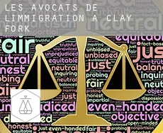 Les avocats de l'immigration à  Clay Fork