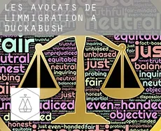 Les avocats de l'immigration à  Duckabush