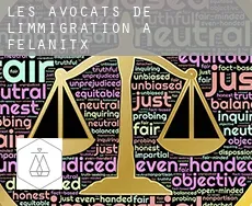 Les avocats de l'immigration à  Felanitx