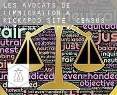 Les avocats de l'immigration à  Kickapoo Site 2