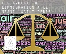 Les avocats de l'immigration à  Le Mesnil-Saint-Denis