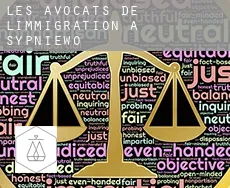 Les avocats de l'immigration à  Sypniewo