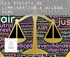 Les avocats de l'immigration à Wilson Fork