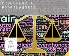 Procureur à  Pooginagoric