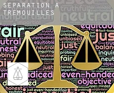 Séparation à Trémouilles