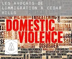 Les avocats de l'immigration à Cedar Hills