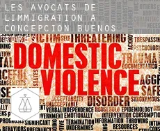 Les avocats de l'immigration à  Concepción de Buenos Aires