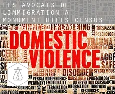 Les avocats de l'immigration à  Monument Hills
