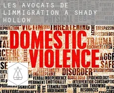 Les avocats de l'immigration à  Shady Hollow