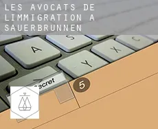 Les avocats de l'immigration à  Sauerbrunnen