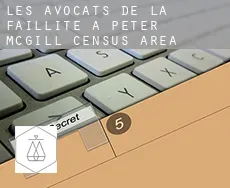 Les avocats de la faillite à  Peter-McGill (census area)