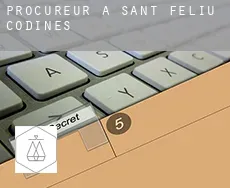 Procureur à  Sant Feliu de Codines