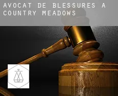 Avocat de blessures à Country Meadows