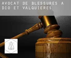 Avocat de blessures à Dio-et-Valquières