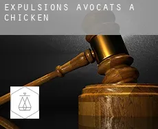 Expulsions avocats à  Chicken
