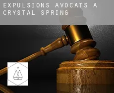 Expulsions avocats à Crystal Spring