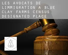 Les avocats de l'immigration à  Blue Clay Farms