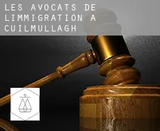 Les avocats de l'immigration à Cuilmullagh