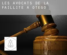 Les avocats de la faillite à  Otego