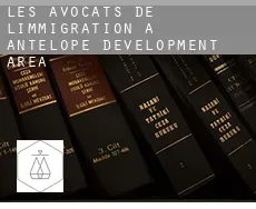 Les avocats de l'immigration à  Antelope Development Area