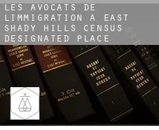 Les avocats de l'immigration à  East Shady Hills