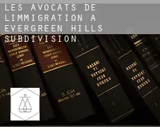 Les avocats de l'immigration à  Evergreen Hills Subdivision