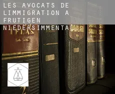 Les avocats de l'immigration à Frutigen-Niedersimmental
