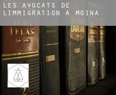 Les avocats de l'immigration à  Moina