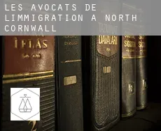 Les avocats de l'immigration à North Cornwall