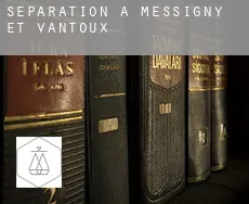 Séparation à  Messigny-et-Vantoux