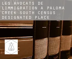 Les avocats de l'immigration à  Paloma Creek South