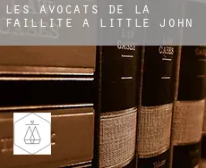 Les avocats de la faillite à  Little John