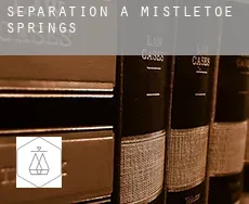 Séparation à Mistletoe Springs