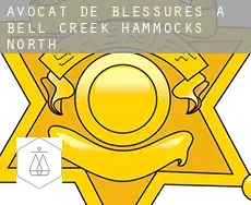 Avocat de blessures à  Bell Creek Hammocks North
