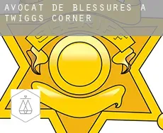 Avocat de blessures à  Twiggs Corner