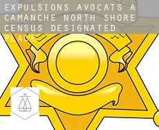 Expulsions avocats à  Camanche North Shore