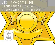 Les avocats de l'immigration à  Souvigny le Thion